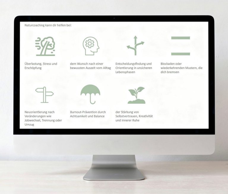 Strasser Design Ingenium – Grafikdesign, Texte, Konzepte Ausschnitt einer Website auf einem Computerbildschirm.